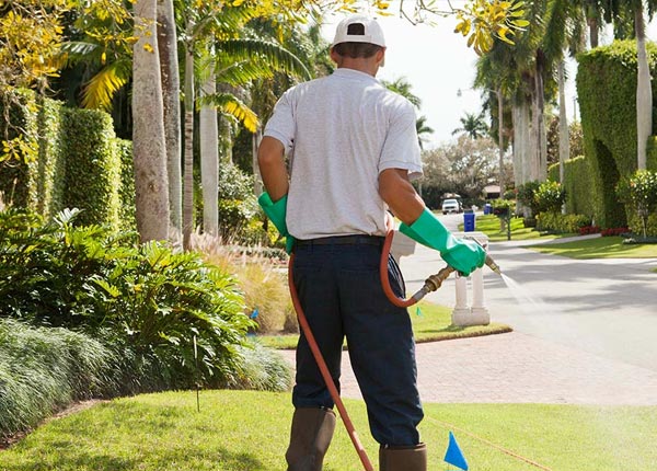 About Bowers PA Pest Control Pros